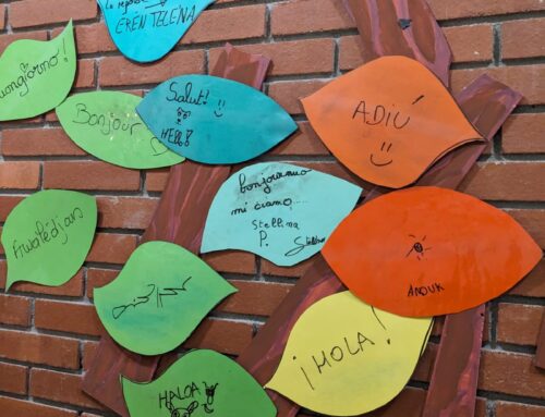 Retour sur notre événement « Awalédjan » – 2ᵉ édition